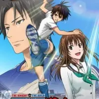 Постер аниме Паладин на поле